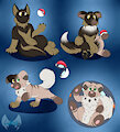 Rockruff TF