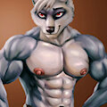 Raccoon skunk hybrid