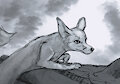 Sneaky Peeky
