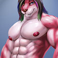 Screwball cat