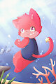 c starkitty