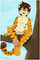 On A Limb