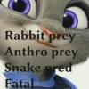 Zootopia: A killer exercise by Anyonarex