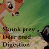 Bambi Snarfs a skunk