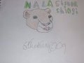 Shingi head by sindragon