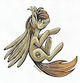 Engineer pone