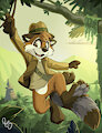 Indiana Beeton