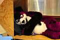 Happy Fursuit Friday