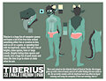 Tiberius Reference Sheet - 2020