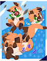 Rowdy Ronnie the Rockruff