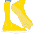 Justyn's clean feet