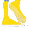 Justyn's sweaty feet by justin1029