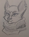 cat with scarf