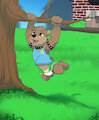 Small Bear at Play