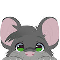 PEEK (by Feve)
