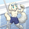 Swimmer
