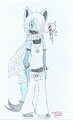 Nega Aragon Complete Form
