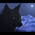 Cold Nights