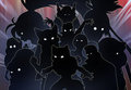 Shadows