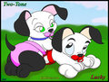 Lucky and Two-tone's playtime by pandafox