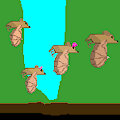 Flying Animation Whole Family of Bats