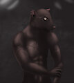 In darkness