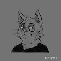 Headshot - Cat