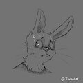 Headshot - Bunny