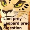 Lion guard: Makucha's Meal/Simba's revenge