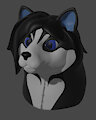 My first 3D model