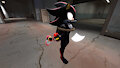 shadow escapes while losing a shoe