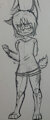 Sketch cat