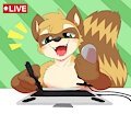Raccoon streamer boi