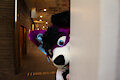 Did I hear Fursuit Friday?