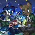 fireflies night