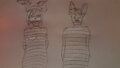 Mummified Together