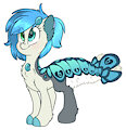 suisei pony