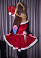 All ready for Christmas