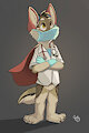 Not All Heroes Wear Pants