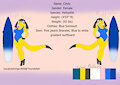Ref sheet commission Cindy