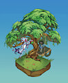 Playing in the trees