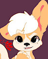 Corgi by Spoonytoons