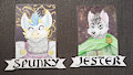 FAU 2017 Badges
