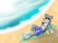 In the summer sun...