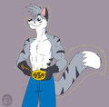 The Tiger Transformation by Domafox