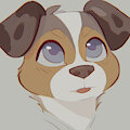 Aussie Shepherd Boy by skidoo