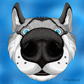 Snoot Boop by bluepawz