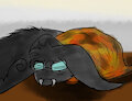 Tired Fluffy Burrito by battlestoriesfan