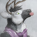 Ace Portrait