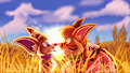 My Warmth
